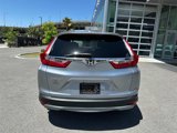 Used 2019 Honda CR-V EX image 6