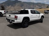 Used 2021 Toyota Tacoma TRD Off-Road w/ TRD Premium Off Road Package image 5