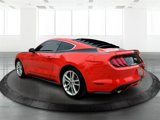 Used 2016 Ford Mustang Premium w/ Pony Package image 3