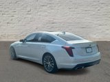 Used 2020 Cadillac CT5 Premium Luxury w/ Parking Package image 3