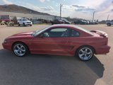 Used 1994 Ford Mustang Cobra image 2