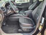 New 2025 Ford Escape ST-Line w/ Equipment Group 301A image 6