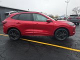 New 2024 Ford Escape ST-Line Elite w/ Premium Technology Package image 3