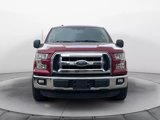Used 2015 Ford F150 XLT w/ Equipment Group 301A Mid image 2