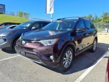 Used 2018 Toyota RAV4 Limited w/ All Weather Liner Package image 4