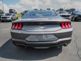 New 2025 Ford Mustang Coupe image 5