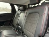 Certified 2022 Ford Escape SEL w/ SEL Stealth AWD Package image 5