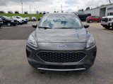 Used 2020 Ford Escape SE image 2