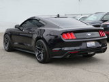 Used 2023 Ford Mustang Coupe image 3