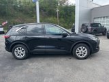 Used 2024 Ford Escape Active image 2
