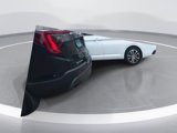 New 2025 Volkswagen Jetta Sport image 5
