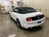 Used 2015 Ford Mustang Convertible w/ Equipment Group 051A image 3