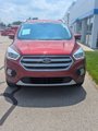 Used 2017 Ford Escape Titanium image 2
