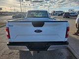Certified 2020 Ford F150 XL w/ Equipment Group 101A Mid image 6