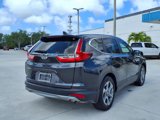 Used 2019 Honda CR-V EX-L image 5