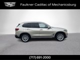Used 2019 BMW X5 xDrive40i w/ Premium Package 2 image 3