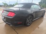 Used 2021 Ford Mustang Premium image 3