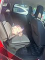 Used 2019 Ford Escape SE image 4