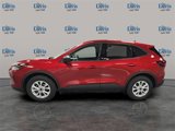 New 2025 Ford Escape Active w/ Cold Weather Package image 2