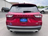 Used 2020 Ford Escape SE image 6
