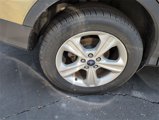 Used 2014 Ford Escape SE w/ Equipment Group 201A image 5
