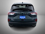 Used 2022 Ford Escape SE w/ SE Sport Appearance Package image 6