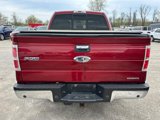 Used 2014 Ford F150 XLT w/ Equipment Group 302A Luxury image 4