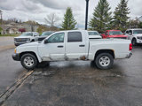 Used 2005 Dodge Dakota SLT image 3