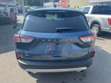 Used 2020 Ford Escape SE image 4