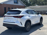 Used 2024 Lexus NX 250 FWD w/ Premium Package image 6