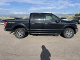 Used 2019 Ford F150 XLT w/ Equipment Group 302A Luxury image 4