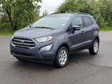 Used 2022 Ford EcoSport SE w/ SE Convenience Package image 4