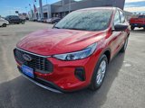 New 2025 Ford Escape Active w/ Tech Pack #1 image 4