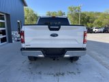 Used 2019 Ford F150 XLT w/ Equipment Group 302A Luxury image 6