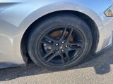 Used 2019 Ford Mustang Premium image 4