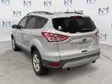 Used 2016 Ford Escape SE w/ SE Leather Comfort Package image 3