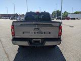 Certified 2022 Ford F150 XLT w/ Equipment Group 302A High image 5