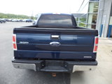 Used 2014 Ford F150 XLT w/ Equipment Group 302A Luxury image 5
