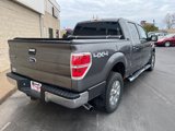 Used 2011 Ford F150 XLT w/ XLT Chrome Pkg image 6