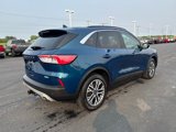 Used 2020 Ford Escape SEL image 5