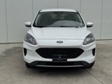 Used 2021 Ford Escape SE image 3