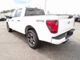New 2025 Ford F150 STX w/ Equipment Group 200A image 3