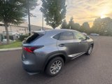 Used 2020 Lexus NX 300 AWD w/ Comfort Package image 5