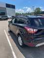 Used 2018 Ford Escape SEL image 5