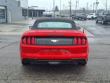 Used 2023 Ford Mustang Premium image 6