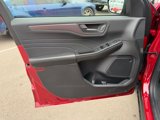New 2025 Ford Escape Active w/ Cold Weather Package image 5