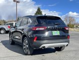 Used 2024 Ford Escape Platinum image 3