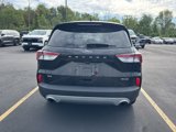 Used 2022 Ford Escape SE w/ Convenience Package image 4