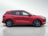 Used 2023 Ford Escape ST-Line w/ Equipment Group 301A image 3