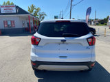 Used 2019 Ford Escape SE image 6